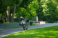 cadwell-no-limits-trackday;cadwell-park;cadwell-park-photographs;cadwell-trackday-photographs;enduro-digital-images;event-digital-images;eventdigitalimages;no-limits-trackdays;peter-wileman-photography;racing-digital-images;trackday-digital-images;trackday-photos